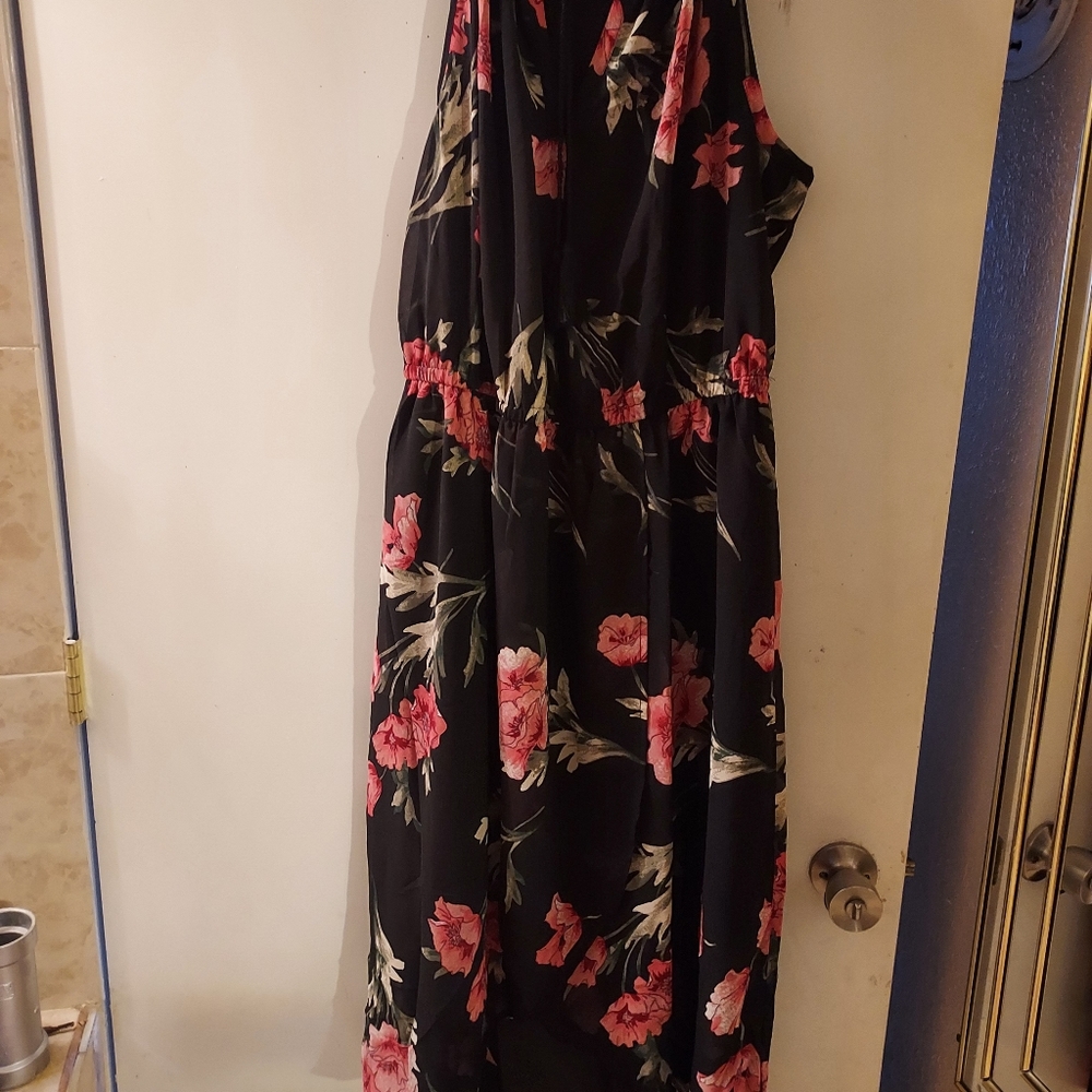 Dress nwt 2x